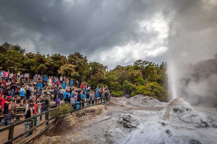 Wai-O-Tapu to Redwoods and Secret Spot Private Tour from Auckland
