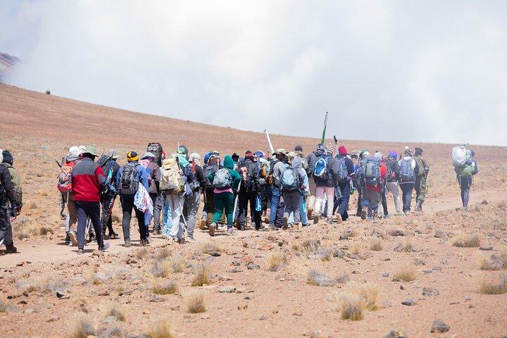 Climbing Kilimanjaro - Marangu Route