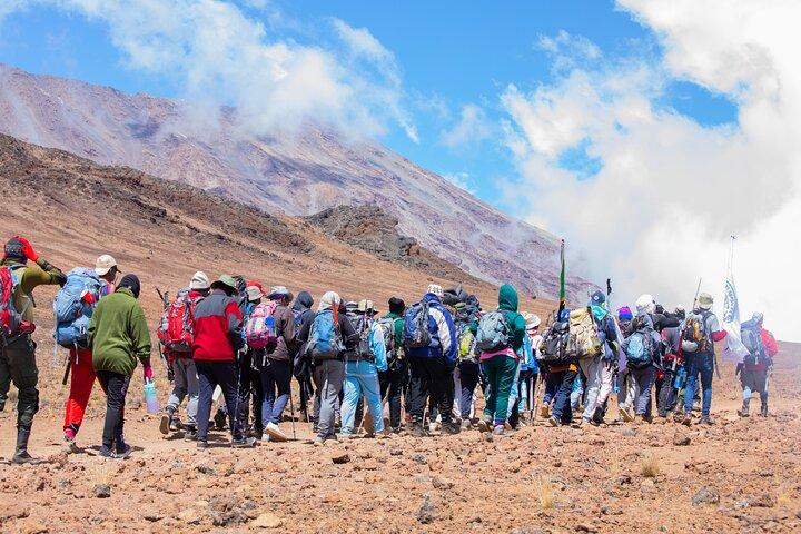 Climbing Kilimanjaro - Marangu Route