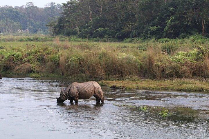 3 Days and 2 Nights Chitwan National Park Safari Tour in Pokhara