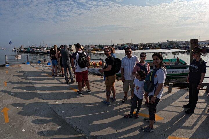 Ballestas Islands and Paracas Reserve Expedition from Ica group