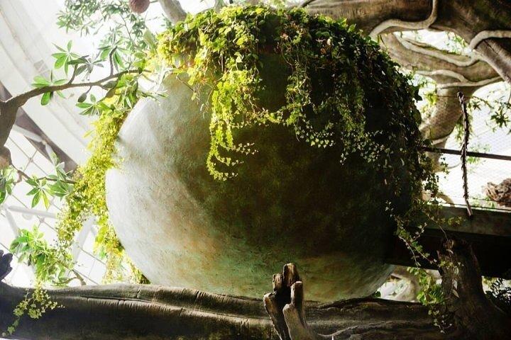 Dubai: Green Planet Entry Tickets with Optional Transportation