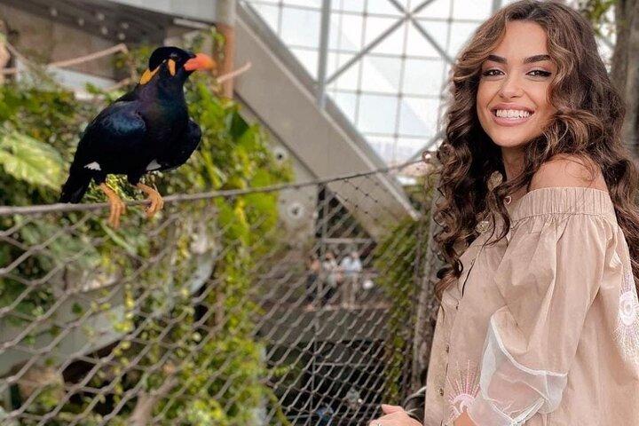 Dubai: Green Planet Entry Tickets with Optional Transportation