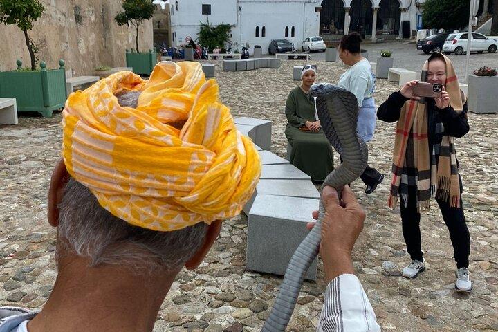 Highlights of Tangier Half Day Tour Include ride the camel