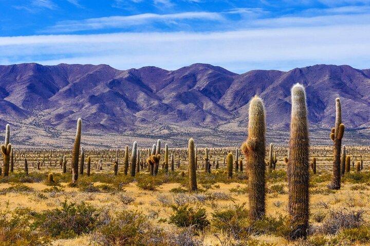 From Salta: Cafayate, Cachi and Humahuaca in 3 full days