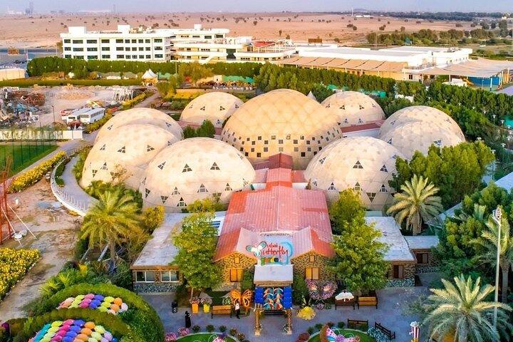 Dubai Butterfly Garden (Escape into nature)