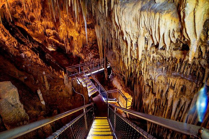Hobart: Tahune Airwalk, Hastings Caves & Thermal Springs Pool
