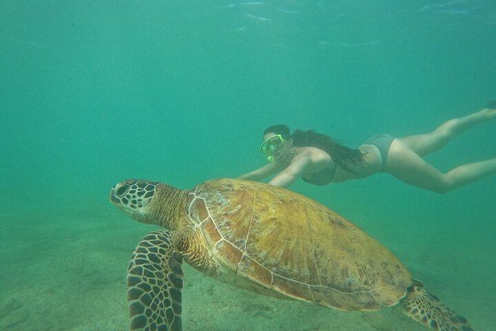 Snorkeling with Turtles in Mirissa