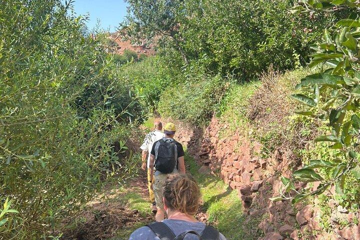 Atlas Mountains Imlil Valley Day trip from Marrakech