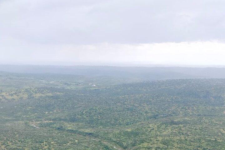 Private Mombasa City Tour Watamu Diani and Malindi