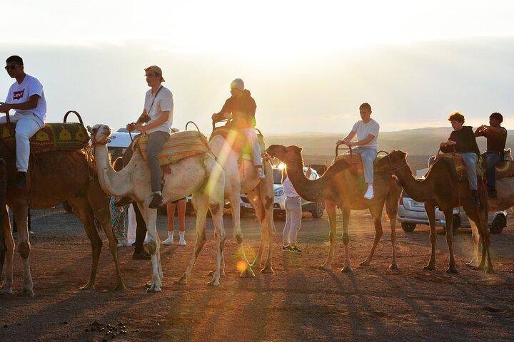 Magical Dinner Experience & Sunset Camel Ride in Marrakech Desert