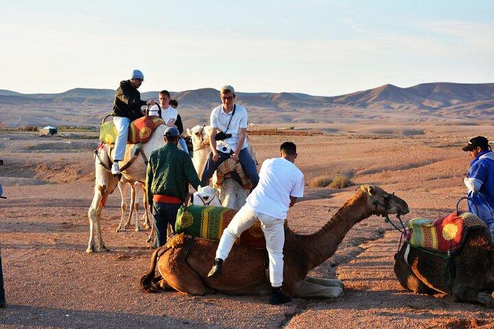 Magical Dinner Experience & Sunset Camel Ride in Marrakech Desert