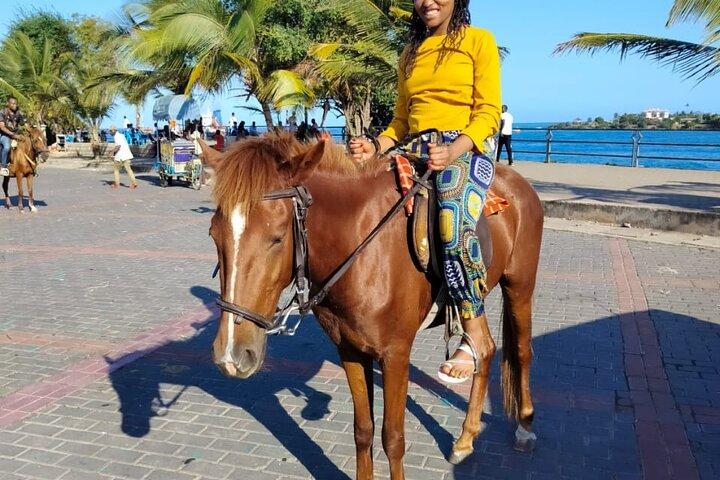 Private Mombasa City Tour Watamu Diani and Malindi