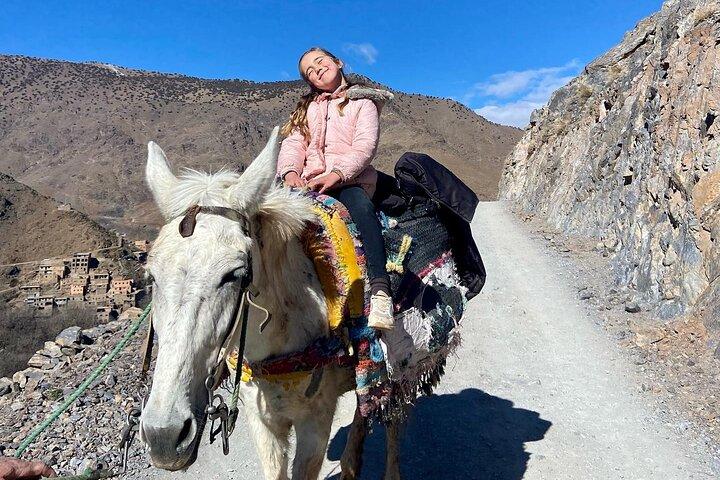 Berber Villages Atlas Mountains 3 Valley Day Trip from Marrakech