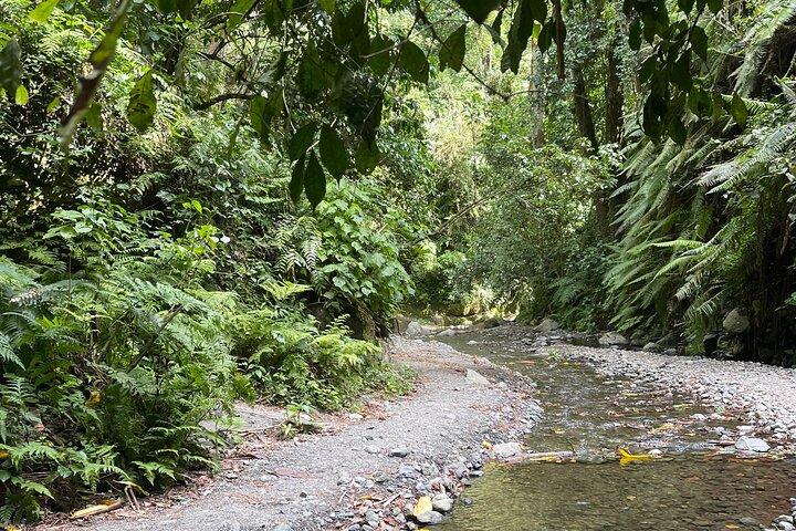 Mount Meru Private Waterfall Tour