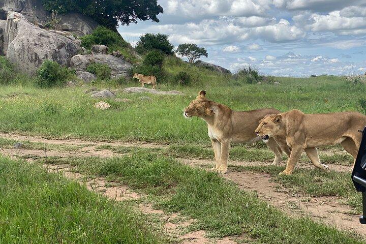 Private Tour in Arusha National Park