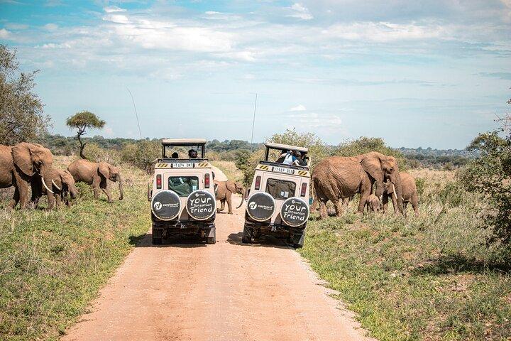 Tanzania Simba Safari - 5 Days