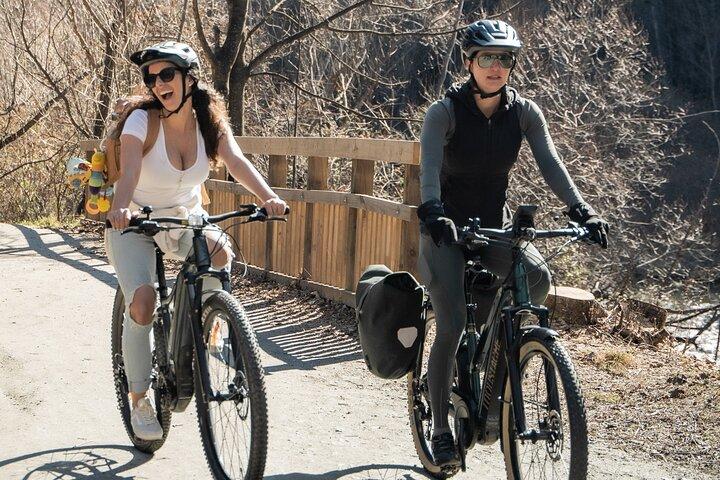 E-Bike Adventures Through the Wineries in Gibbston