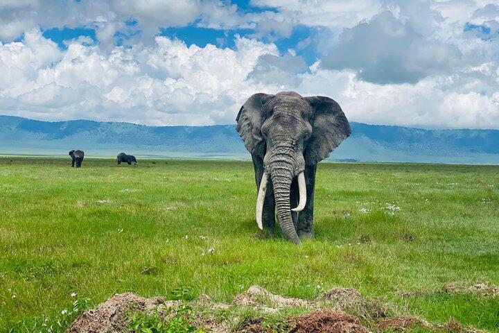 5 Days Northern Migration Budget Safari.