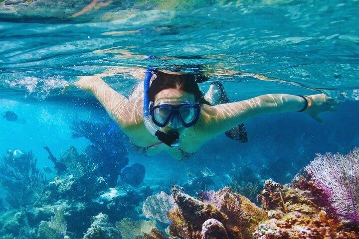 Amalfi Coast Snorkeling and Limoncello Tasting: 4h Boat Tour