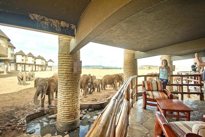 3 Days Tsavo East National Park and Taita Hills Sanctuary on Jeep