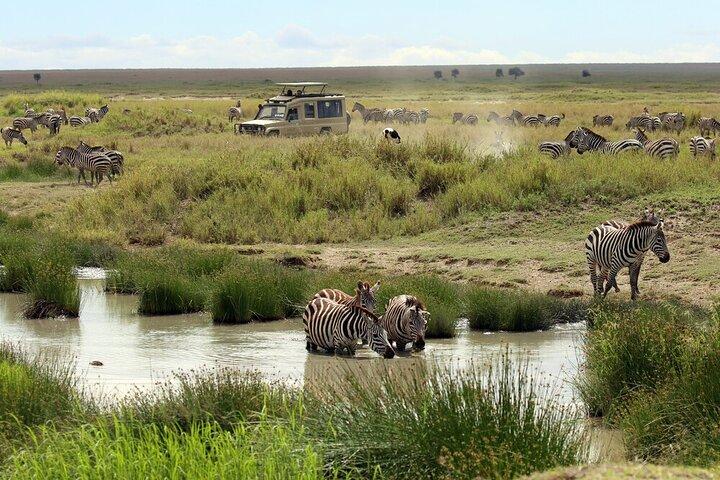 Big Five Luxury 7 Days Safari Tour in Arusha