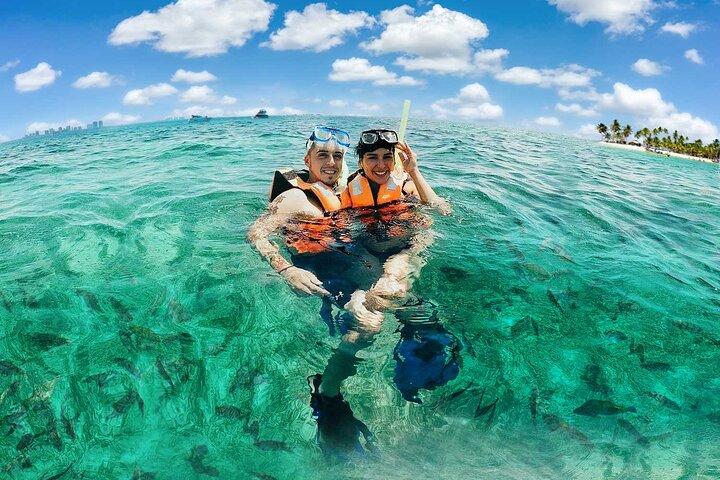 Amazing Snorkeling Experience + Real Mexican Tacos