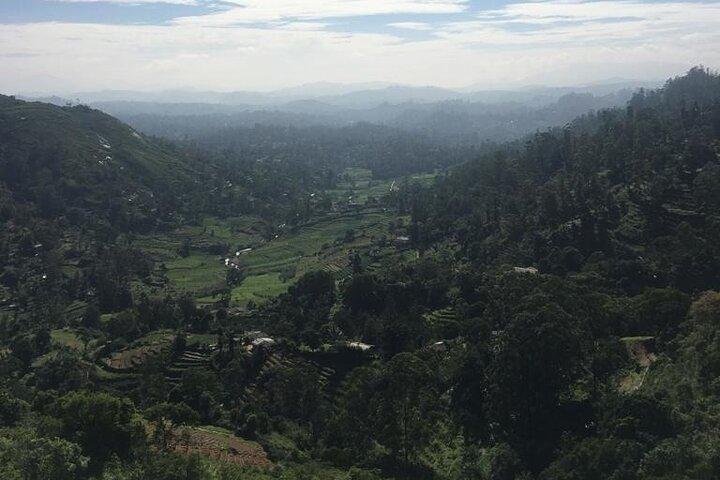 Nuwara Eliya Half Day Private Hiking and Sightseeing Tour