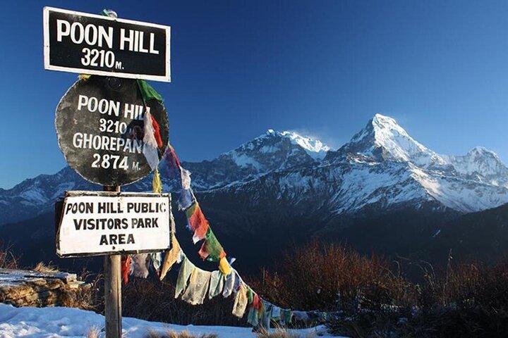 From Pokhara: 5-Day Ghorepani Poon Hill & Ghandruk Village Trek