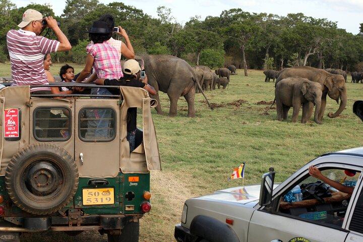 Sigiriya & Minneriya Safari Tour from Colombo