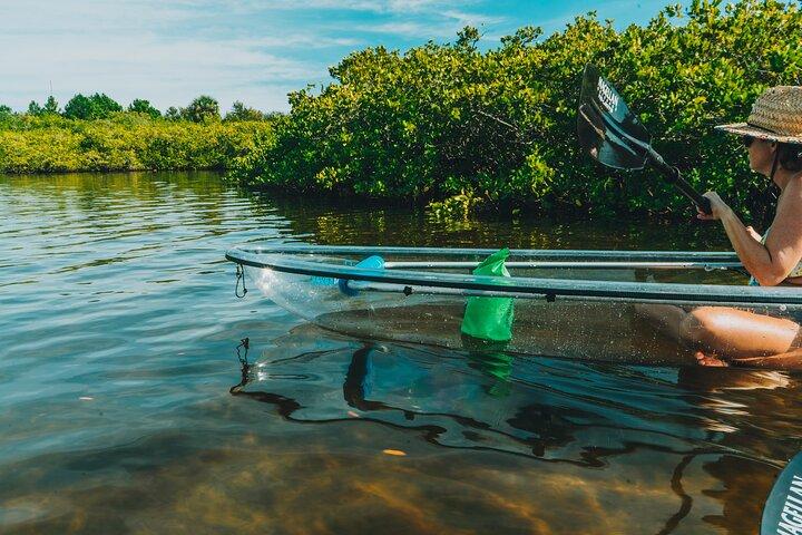 Manatee Season Clear Kayak Tour of Tarpon Springs