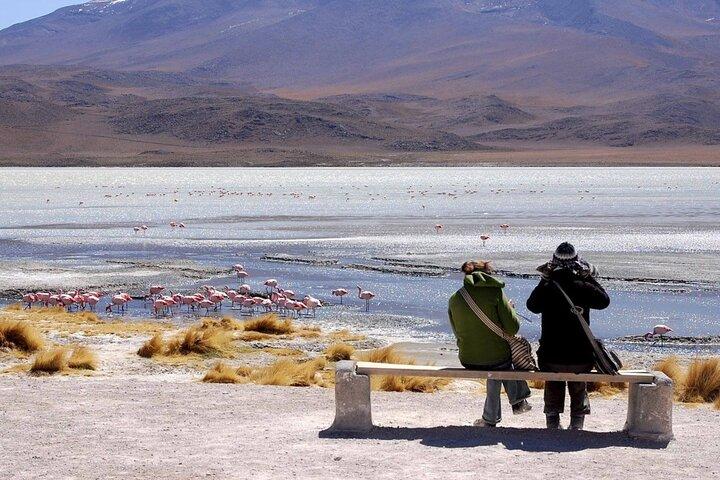 5-Day Private Journey: Salar de Uyuni & Altiplano Landscapes