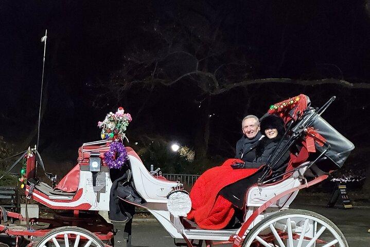 Private Christmas Lights Horse Carriage Tour In New York City