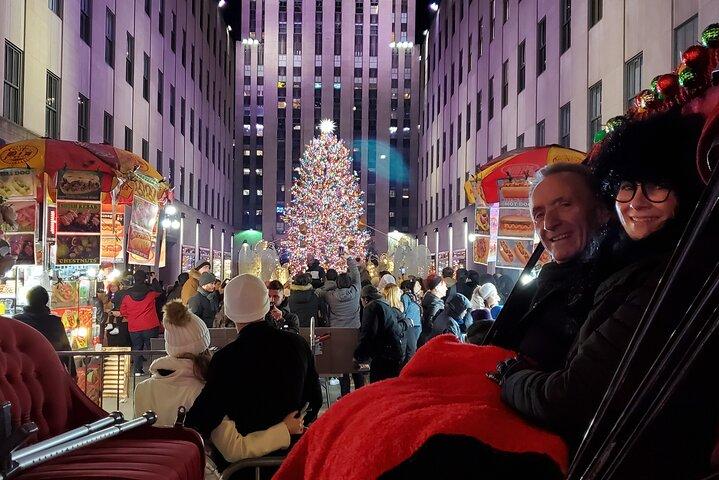 Private Christmas Lights Horse Carriage Tour In New York City