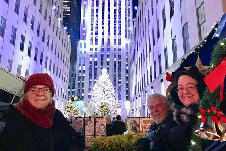 Private Christmas Lights Horse Carriage Tour In New York City