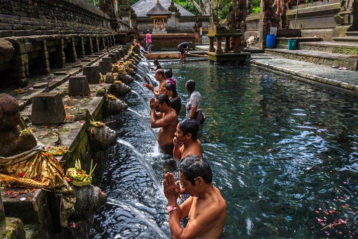 Ubud Tour With Monkey Forest, Rice Terrace, Waterfall, Temple
