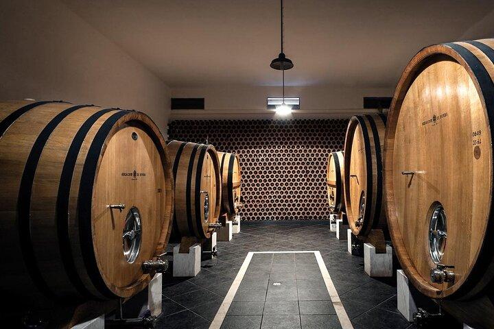 Full-day Trip in Evora, Winery & Cork Factory Private Transport