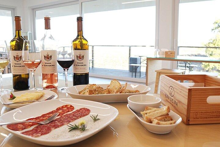 Full-day Trip in Evora, Winery & Cork Factory Private Transport