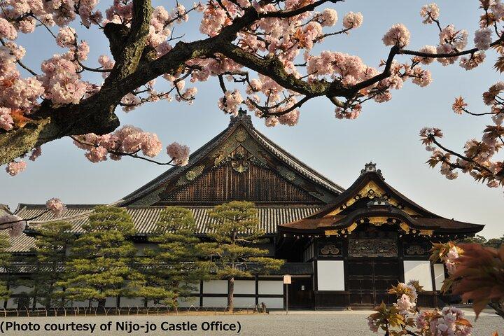 Kyoto 1 Day Tour from Osaka