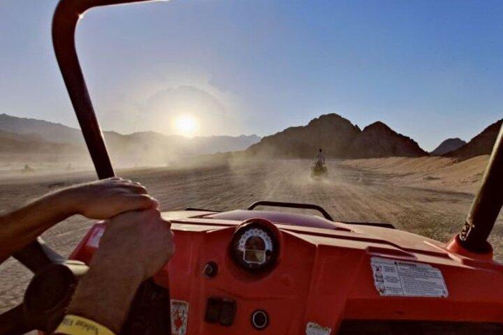 Desert Buggy Adventure with Camel Ride from Sharm El Sheikh