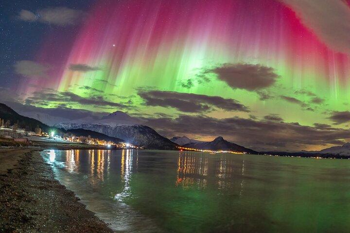 Northern Lights Tour, Photo, Toilet, Meal, Skycam in Mbus