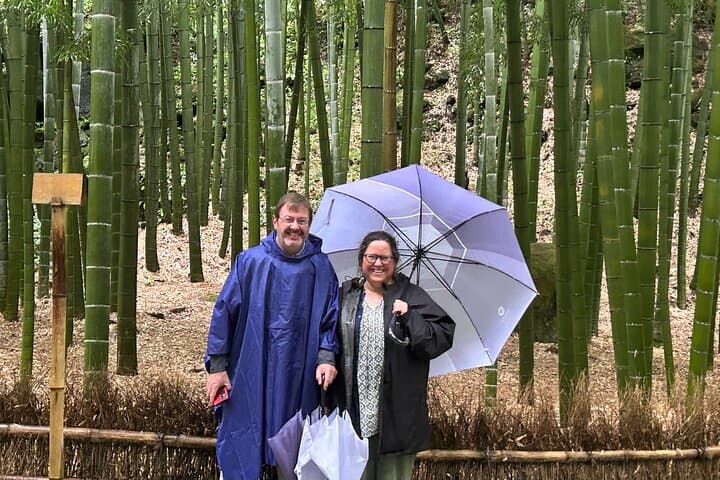 Full Day Kamakura Tour, From/To Tokyo, Yokohama, 2- 12 guests