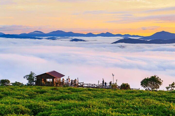 Cloud Hunting - Experience Dalat Special Products