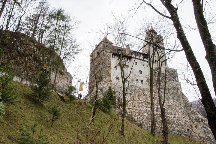 Day Trip Bear Sanctuary, Bran Castle, Rasnov Fortress from Brasov