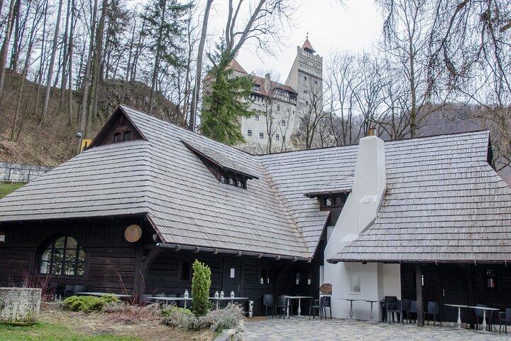 Day Trip Bear Sanctuary, Bran Castle, Rasnov Fortress from Brasov
