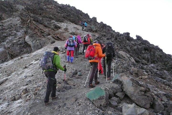 Day Tour Marangu Kilimanjaro