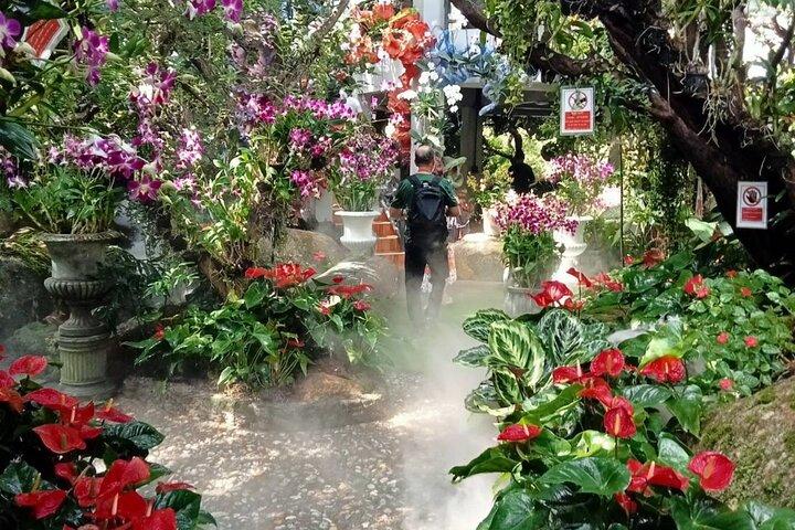 Private Tour Chiang Rai 3 Wonderful Temples & Lalitta Cafe