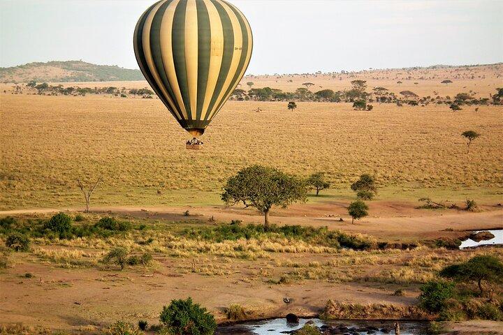 4-Day Tour to Tarangire, Serengeti and Ngorongoro