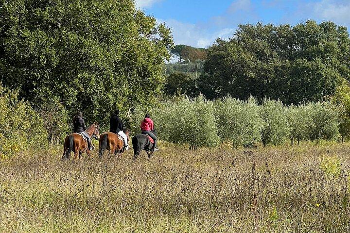 Horseback riding in Montepulciano Tuscany, lunch on the farm