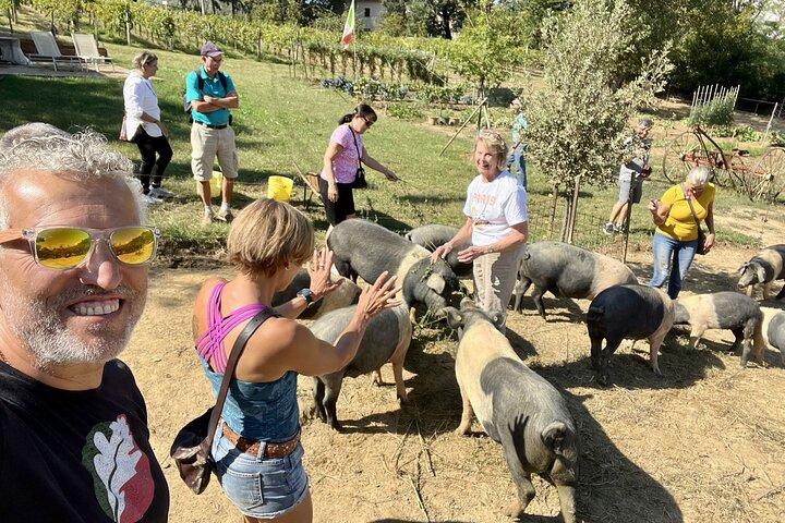 Horseback riding in Montepulciano Tuscany, lunch on the farm